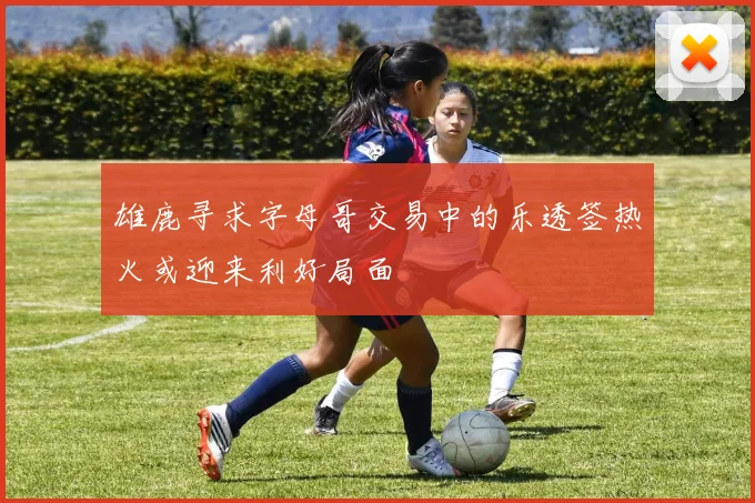 雄鹿寻求字母哥交易中的乐透签热火或迎来利好局面